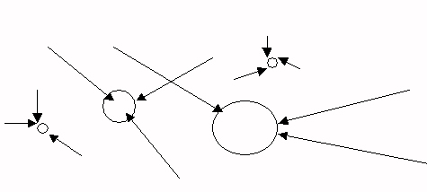 ris1